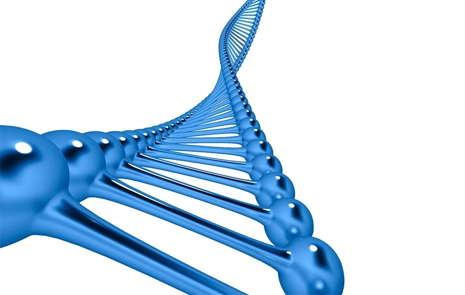 ADN-Test-Genético-Ynsadiet