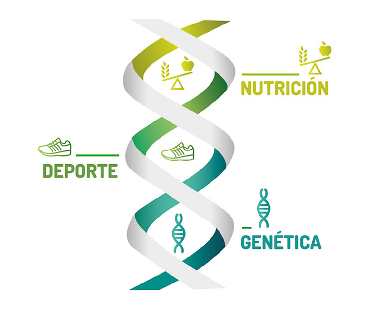 laprueba Prueba-Genética-Balance-Sport-Diet-Ynsadiet