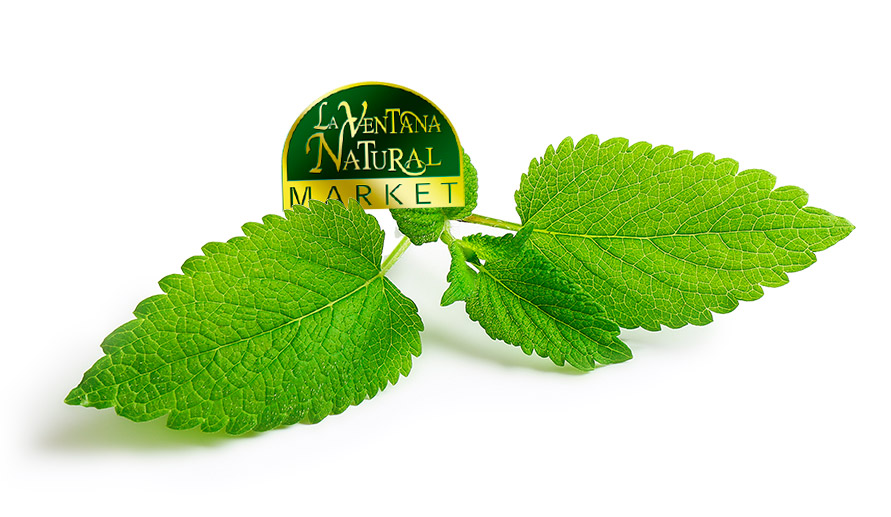 La-Ventana-Natural-Market-Franquicia-Ynsadiet La-Ventana-Natural-Market-Franquicia-Ynsadiet